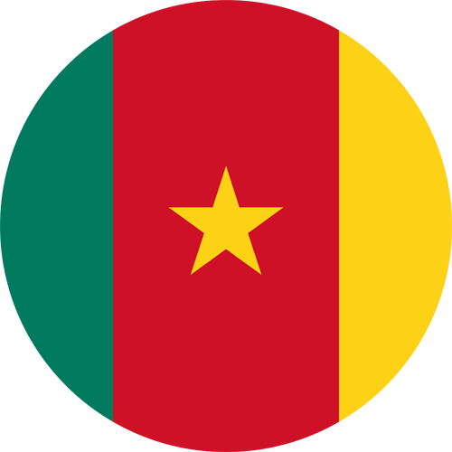 Resources Cameroon Round Flag