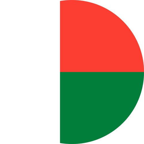 Resources Madagascar Round Flag
