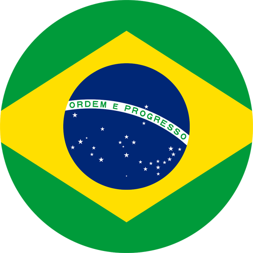 Monthly Newsletter February 2026 brazil round flag